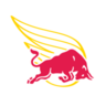 wingfinder.com